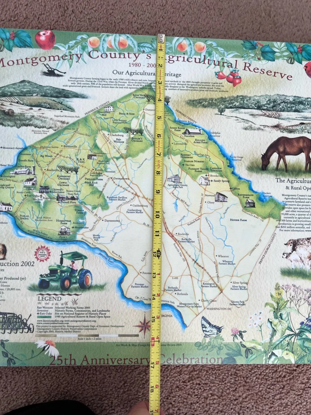 Montgomery County Agricultural Reserve Decorative Map Wall Art - Green